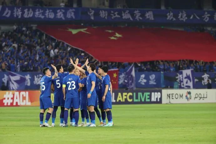国内精品久久久久久久久野战