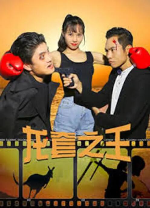 国产成人v视频在线观看