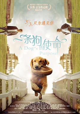 粉红床的变态性浴4