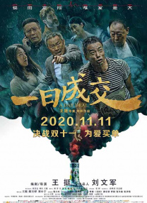 美女找大叔免费观看电视剧
